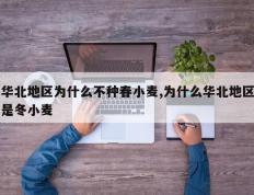 华北地区为什么不种春小麦,为什么华北地区是冬小麦