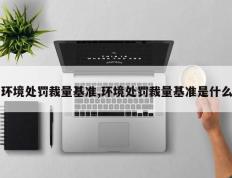 环境处罚裁量基准,环境处罚裁量基准是什么