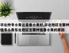 华北种冬小麦还是春小麦好,华北地区主要种植冬小麦东北地区主要种植春小麦的原因