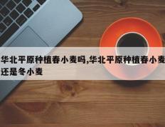 华北平原种植春小麦吗,华北平原种植春小麦还是冬小麦