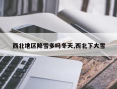 西北地区降雪多吗冬天,西北下大雪
