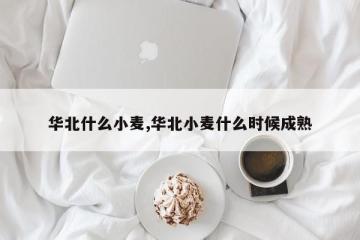 华北什么小麦,华北小麦什么时候成熟
