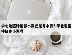 华北地区种植春小麦还是冬小麦?,华北地区种植春小麦吗