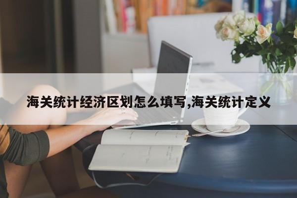 海关统计经济区划怎么填写,海关统计定义