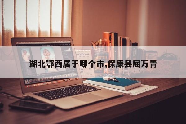 湖北鄂西属于哪个市,保康县屈万青
