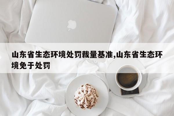 山东省生态环境处罚裁量基准,山东省生态环境免于处罚